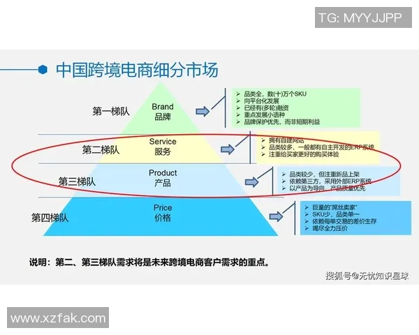 深入分析TES战队的运营策略与战术布局解析